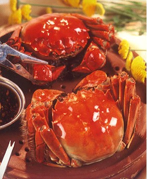 美食加盟http://www.dfy168.cn